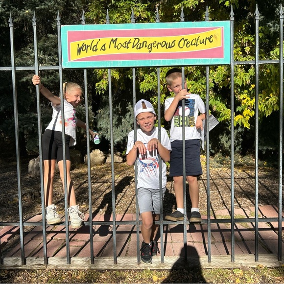 American Eagle Jeggings - Picture 4 of 7